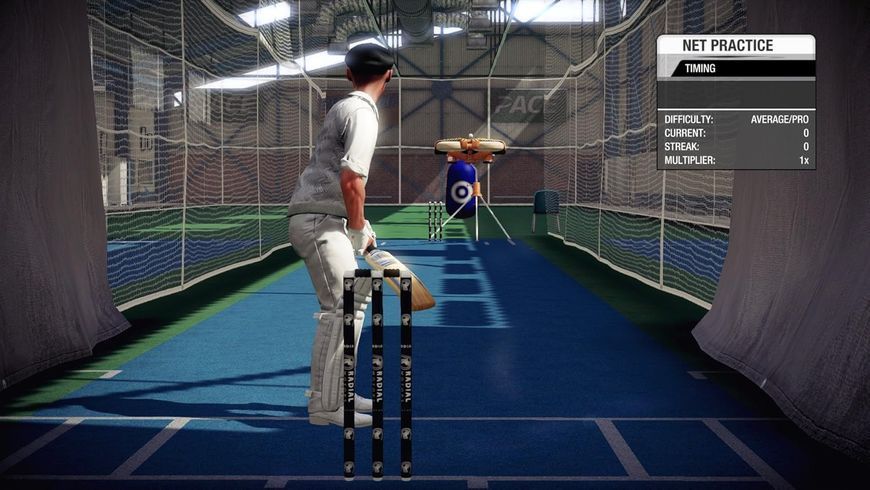 Don Bradman Cricket (Б/В) 2446 фото